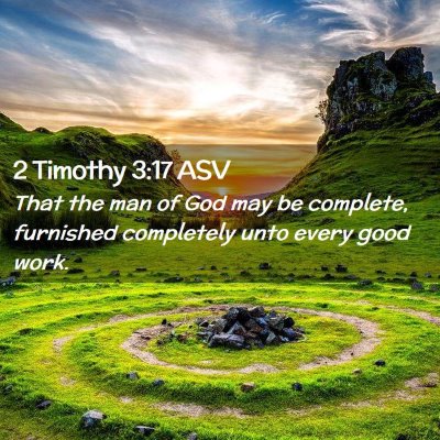 Picture 02 - 2 Timothy 3:17 ASV - That the man of God may be complete, furnished - Bible Verse Picture