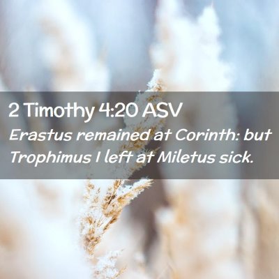 Picture 02 - 2 Timothy 4:20 ASV - Erastus remained at Corinth: but Trophimus I left - Bible Verse Picture
