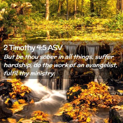 Picture 02 - 2 Timothy 4:5 ASV - But be thou sober in all things, suffer hardship, - Bible Verse Picture