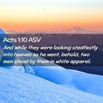 Picture 02 - Acts 1:10 ASV - And while they were looking stedfastly into - Bible Verse Picture