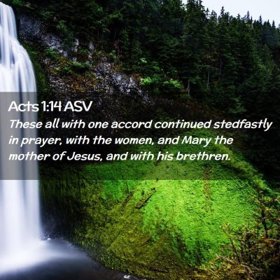 Picture 02 - Acts 1:14 ASV - These all with one accord continued stedfastly in - Bible Verse Picture