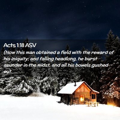 Picture 02 - Acts 1:18 ASV - (Now this man obtained a field with the reward of - Bible Verse Picture