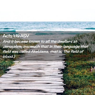 Picture 02 - Acts 1:19 ASV - And it became known to all the dwellers at - Bible Verse Picture