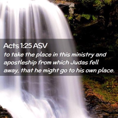 Picture 02 - Acts 1:25 ASV - to take the place in this ministry and - Bible Verse Picture