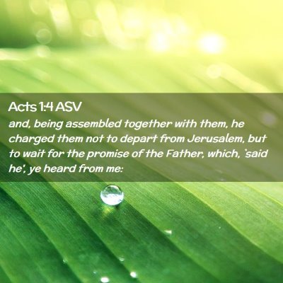 Picture 02 - Acts 1:4 ASV - and, being assembled together with them, he - Bible Verse Picture