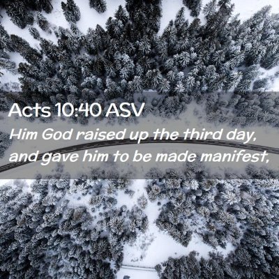 Picture 02 - Acts 10:40 ASV - Him God raised up the third day, and gave him to - Bible Verse Picture