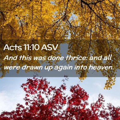 Picture 02 - Acts 11:10 ASV - And this was done thrice: and all were drawn up - Bible Verse Picture