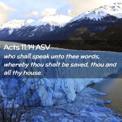 Picture 02 - Acts 11:14 ASV - who shall speak unto thee words, whereby thou - Bible Verse Picture