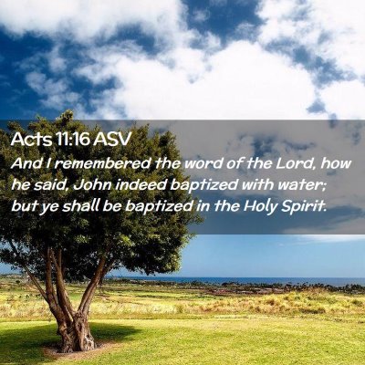 Picture 02 - Acts 11:16 ASV - And I remembered the word of the Lord, how he - Bible Verse Picture