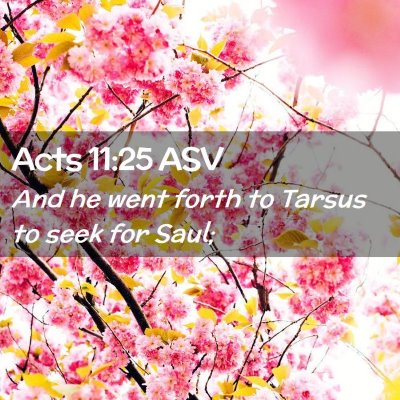 Picture 02 - Acts 11:25 ASV - And he went forth to Tarsus to seek for - Bible Verse Picture