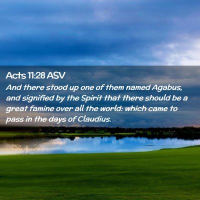 Picture 02 - Acts 11:28 ASV - And there stood up one of them named Agabus, and - Bible Verse Picture