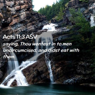 Picture 02 - Acts 11:3 ASV - saying, Thou wentest in to men uncircumcised, and - Bible Verse Picture