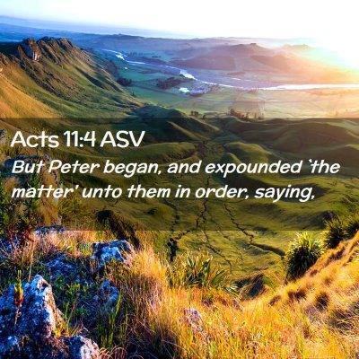 Picture 02 - Acts 11:4 ASV - But Peter began, and expounded `the matter' unto - Bible Verse Picture