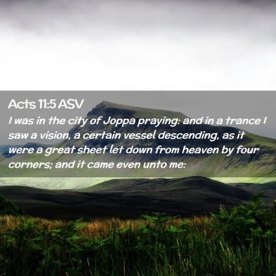 Picture 02 - Acts 11:5 ASV - I was in the city of Joppa praying: and in a - Bible Verse Picture