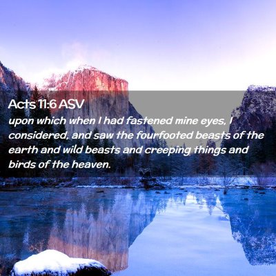 Picture 02 - Acts 11:6 ASV - upon which when I had fastened mine eyes, I - Bible Verse Picture