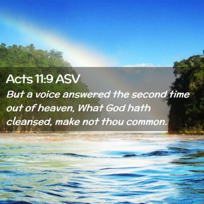 Picture 02 - Acts 11:9 ASV - But a voice answered the second time out of - Bible Verse Picture