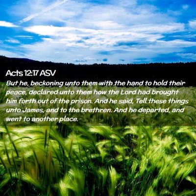 Picture 02 - Acts 12:17 ASV - But he, beckoning unto them with the hand to hold - Bible Verse Picture