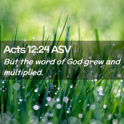 Picture 02 - Acts 12:24 ASV - But the word of God grew and - Bible Verse Picture