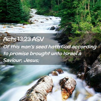 Picture 02 - Acts 13:23 ASV - Of this man's seed hath God according to promise - Bible Verse Picture