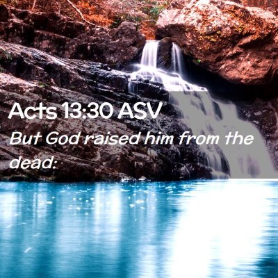 Picture 02 - Acts 13:30 ASV - But God raised him from the - Bible Verse Picture