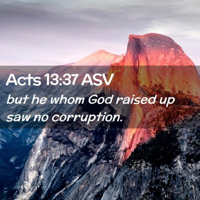 Picture 02 - Acts 13:37 ASV - but he whom God raised up saw no - Bible Verse Picture