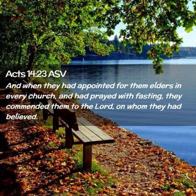 Picture 02 - Acts 14:23 ASV - And when they had appointed for them elders in - Bible Verse Picture
