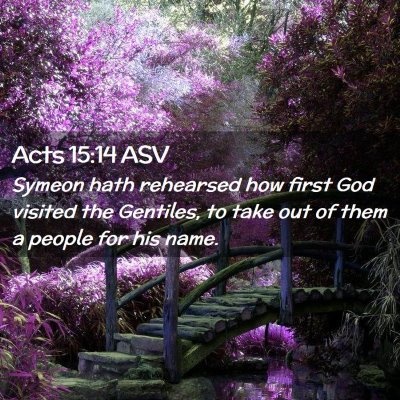 Picture 02 - Acts 15:14 ASV - Symeon hath rehearsed how first God visited the - Bible Verse Picture