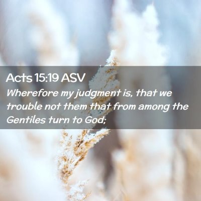 Picture 02 - Acts 15:19 ASV - Wherefore my judgment is, that we trouble not - Bible Verse Picture
