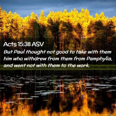 Picture 02 - Acts 15:38 ASV - But Paul thought not good to take with them him - Bible Verse Picture