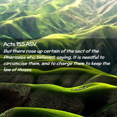 Picture 02 - Acts 15:5 ASV - But there rose up certain of the sect of the - Bible Verse Picture