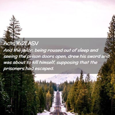 Picture 02 - Acts 16:27 ASV - And the jailor, being roused out of sleep and - Bible Verse Picture
