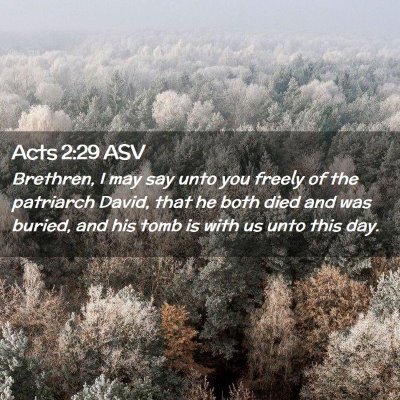 Picture 02 - Acts 2:29 ASV - Brethren, I may say unto you freely of the - Bible Verse Picture