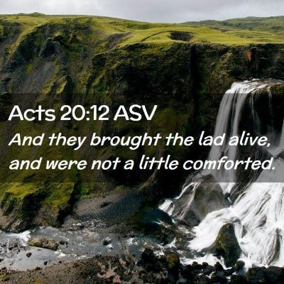 Picture 02 - Acts 20:12 ASV - And they brought the lad alive, and were not a - Bible Verse Picture