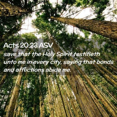 Picture 02 - Acts 20:23 ASV - save that the Holy Spirit testifieth unto me in - Bible Verse Picture