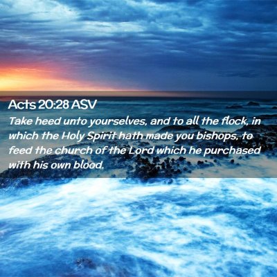 Picture 02 - Acts 20:28 ASV - Take heed unto yourselves, and to all the flock, - Bible Verse Picture