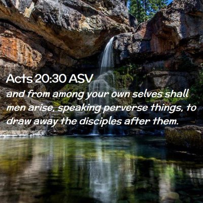 Picture 02 - Acts 20:30 ASV - and from among your own selves shall men arise, - Bible Verse Picture