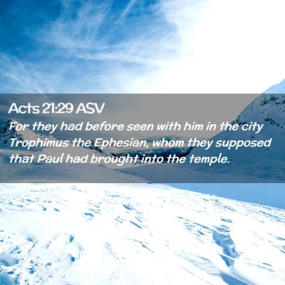 Picture 02 - Acts 21:29 ASV - For they had before seen with him in the city - Bible Verse Picture