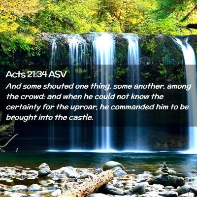 Picture 02 - Acts 21:34 ASV - And some shouted one thing, some another, among - Bible Verse Picture