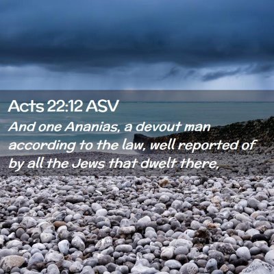 Picture 02 - Acts 22:12 ASV - And one Ananias, a devout man according to the - Bible Verse Picture
