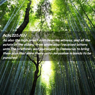 Picture 02 - Acts 22:5 ASV - As also the high priest doth bear me witness, and - Bible Verse Picture