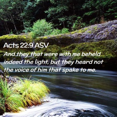 Picture 02 - Acts 22:9 ASV - And they that were with me beheld indeed the - Bible Verse Picture