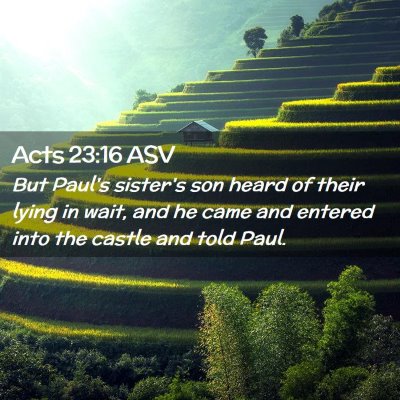 Picture 02 - Acts 23:16 ASV - But Paul's sister's son heard of their lying in - Bible Verse Picture
