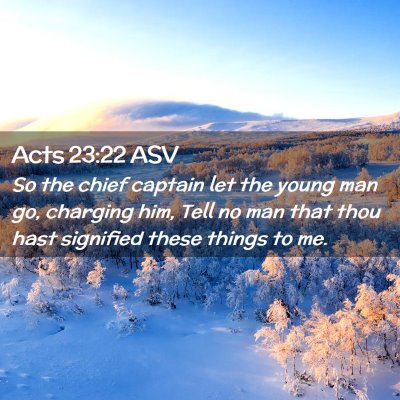 Picture 02 - Acts 23:22 ASV - So the chief captain let the young man go, - Bible Verse Picture