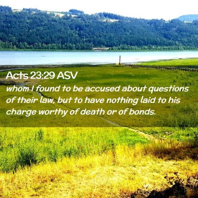Picture 02 - Acts 23:29 ASV - whom I found to be accused about questions of - Bible Verse Picture