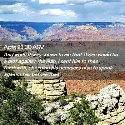 Picture 02 - Acts 23:30 ASV - And when it was shown to me that there would be a - Bible Verse Picture