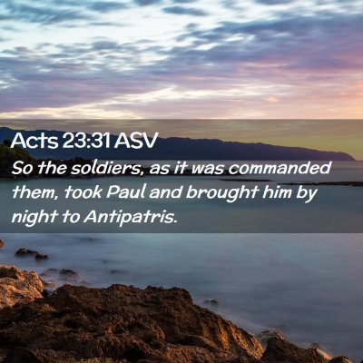 Picture 02 - Acts 23:31 ASV - So the soldiers, as it was commanded them, took - Bible Verse Picture