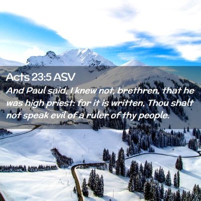 Picture 02 - Acts 23:5 ASV - And Paul said, I knew not, brethren, that he was - Bible Verse Picture