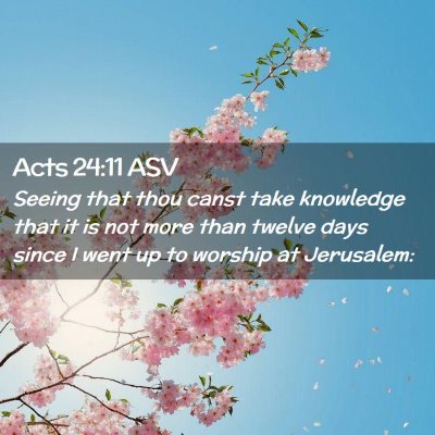 Picture 02 - Acts 24:11 ASV - Seeing that thou canst take knowledge that it is - Bible Verse Picture