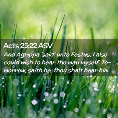 Picture 02 - Acts 25:22 ASV - And Agrippa `said' unto Festus, I also could wish - Bible Verse Picture