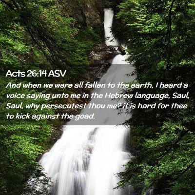 Picture 02 - Acts 26:14 ASV - And when we were all fallen to the earth, I heard - Bible Verse Picture